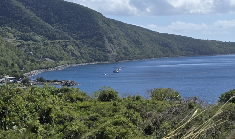 2026-01-28-D Basse-Terre_Guadeloupe 20260128_125226_ji.jpg